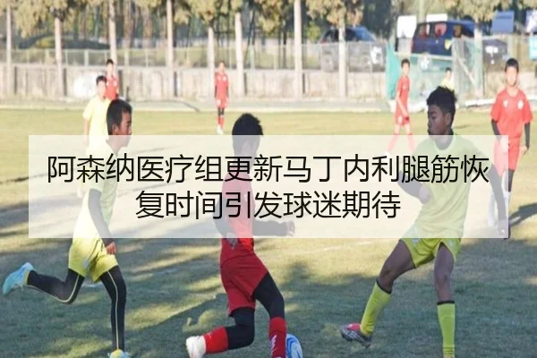 阿森纳医疗组更新马丁内利腿筋恢复时间引发球迷期待